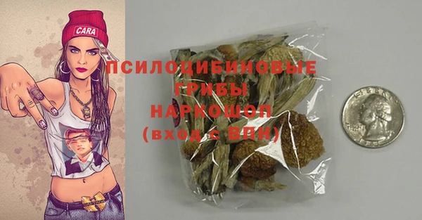 индика Фурманов