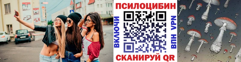 Купить где  Мосальск  Псилоцибиновые грибы мухоморы 